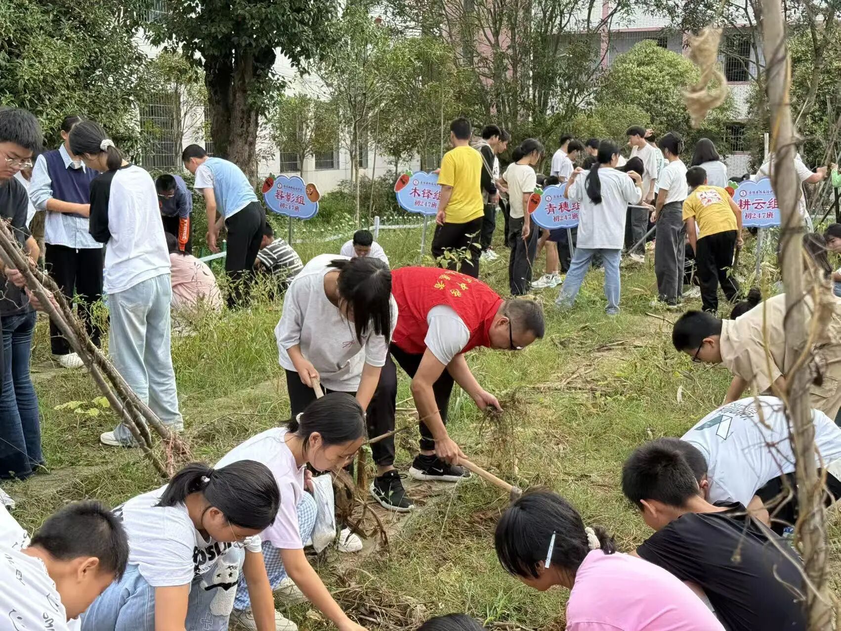 陈家河中学：体验农耕文化 培育劳动精神